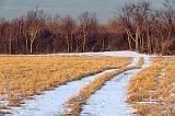 Snowy Field Lane_20742